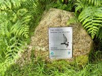 12. Reisetag – Tag in den Wicklow Mountains – Regenwanderung in Glendalough