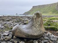 Irland, der Stiefel des Riesen, Giant´s Causeway
