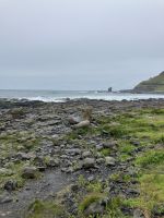 Irland, am Giant´s Causeway