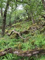 Irland, Glenveagh Castle 