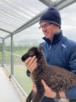 Irland, Bei Schäfer Martin