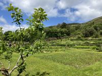 Irland, Kylemore Abbey