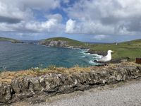 Irland, Dingle Halbinsel, Coumeenoole South 