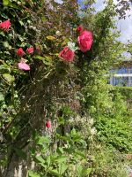 Irland, Dingle Halbinsel, Dingle