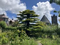 Irland, Dingle Halbinsel, Dingle