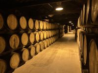 Irland, Besuch bei Midleton & Whiskey-Verkostung