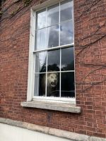 Irland, Dublin, Stadtrundfahrt 