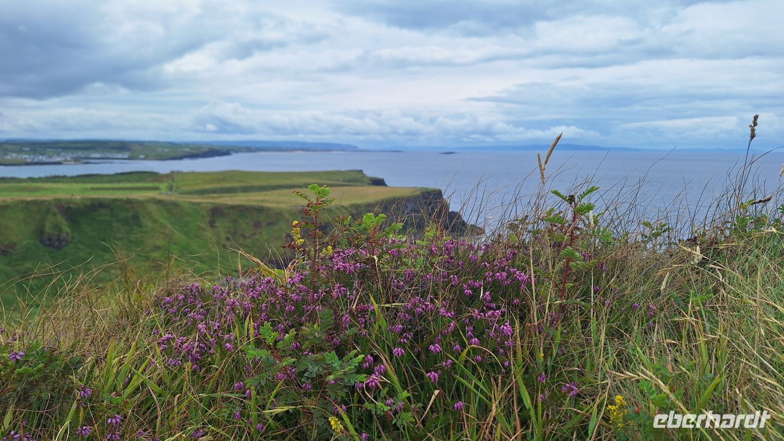 Giant's Causeway