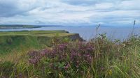Giant's Causeway
