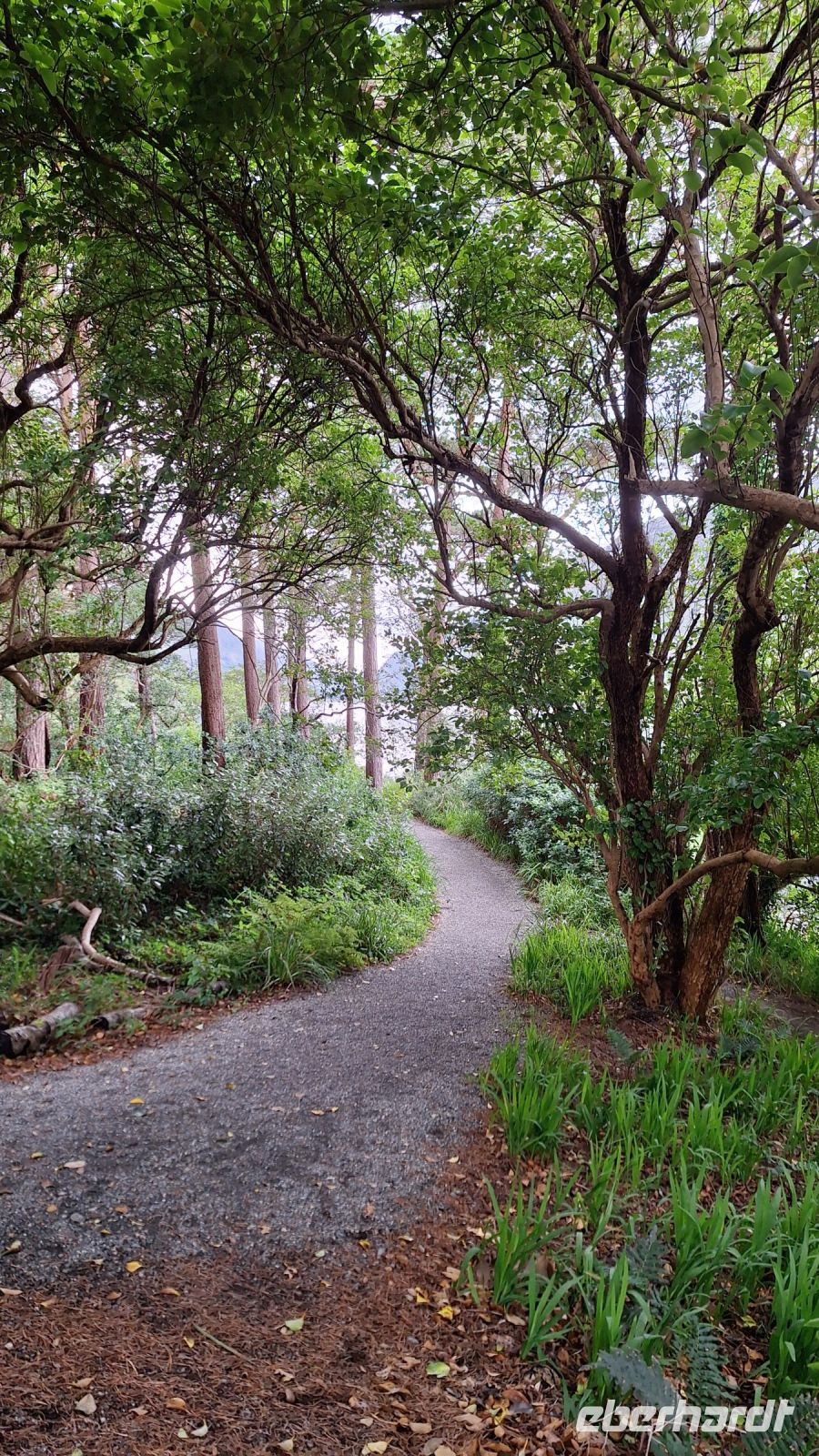Glenveagh Castle Gardens