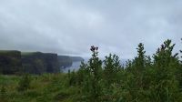 Cliffs of Moher
