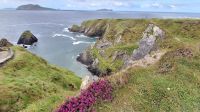 Dunquin Pier