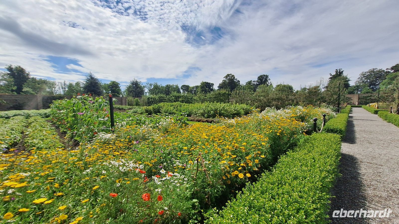 Dublin: Phoenix Park