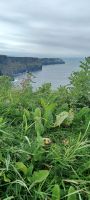 Cliffs of Moher