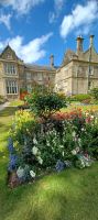 Garten am Muckross Castle