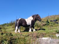 090-Iveragh peninsula