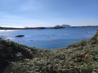 091-Iveragh peninsula Kenmare river