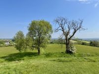 2. Tag – Von Dublin nach Letterkenny – Heiliger Hügel am Navan Fort