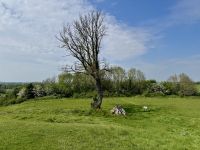 2. Tag – Von Dublin nach Letterkenny – Heiliger Hügel am Navan Fort