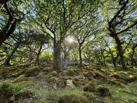 3. Tag – Erkundungen im County Donegal – Wanderung im Glenveagh-Nationalpark