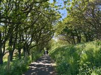 4. Tag – Ausflug nach Nordirland – Kleine Zusatzwanderung zum Golfplatz