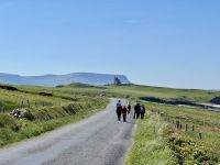 5. Tag – Von Letterkenny nach Leenaun – Wanderung um Mullaghmore – Im Hintergrund Classiebawn Castle und Ben Bulben