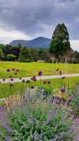 Muckross House and Gardens