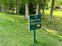 11. Tag – Von Tralee in die Wicklow Mountains – Führung durch das Irische Nationalgestüt