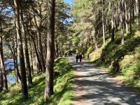 12. Tag – Erkundungen in den Wicklow Mountains – Wanderung in Glendalough