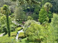 12. Tag – Erkundungen in den Wicklow Mountains – Besuch der Powerscourt Gardens