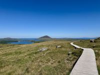 7. Tag – Erkundungen in Connemara – Wanderung im Nationalpark auf den Diamond Hill