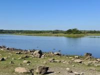 9. Tag – Wandern in Coole Park – Turlough