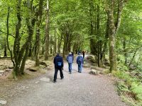 10. Tag – Ring of Kerry – Spaziergang zum Torc Waterfall