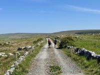 8. Tag – Klippen und Kalkstein – Wanderung auf dem Burren Way
