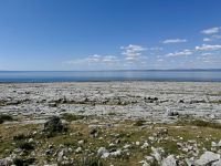 8. Tag – Klippen und Kalkstein – Fotostopp am Black Head im Burren
