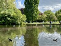 1. Tag – Ankunft in Dublin – Spaziergang durch den Stadtpark St Stephen's Green