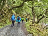3. Tag – Im schönen County Donegal – Wandern im Glenveagh-Nationalpark