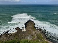 4. Tag – Ausflug nach Nordirland – Am Giant's Causeway