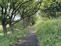 4. Tag – Ausflug nach Nordirland – Zusatzwanderung zum Runkerry Beach