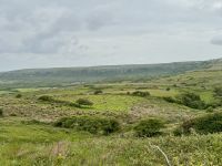 8. Tag – Klippen & Burren – Wanderung durch den Burren