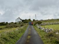 8. Tag – Klippen & Burren – Wanderung durch den Burren