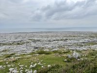 8. Tag – Klippen & Burren – Fotostopp am Black Head