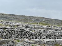 8. Tag – Klippen & Burren – Fotostopp am Black Head