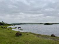 9. Tag – Ennis bis Tralee – Wanderung in Coole Park – Turlough