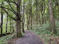 9. Tag – Ennis bis Tralee – Wanderung in Coole Park