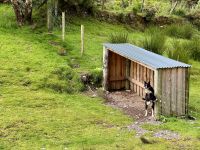 10. Tag – Ring of Kerry – Besuch bei Tess, Peg, Claire und Schäfer Tom