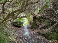 10. Tag – Ring of Kerry – Zusatzwanderung vom Scariff Inn zum Derrynane Beach