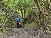 10. Tag – Ring of Kerry – Zusatzwanderung vom Scariff Inn zum Derrynane Beach