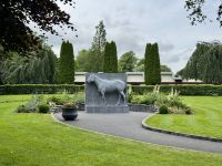 11. Tag – Tralee bis Newtownmountkennedy – Besuch auf dem Irischen Nationalgestüt