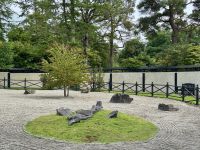 11. Tag – Tralee bis Newtownmountkennedy – Besuch auf dem Irischen Nationalgestüt – Japanischer Garten